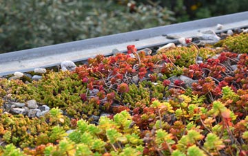 the cost of Udston green roof installation